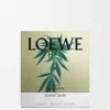 Large Scent of Marihuana Candle
