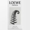LOEWE Esencia EDP 100ml