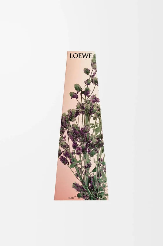 Oregano Wax Candleholder Oregano Wax Candleholder