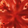 Tomato Leaves Body Lotion